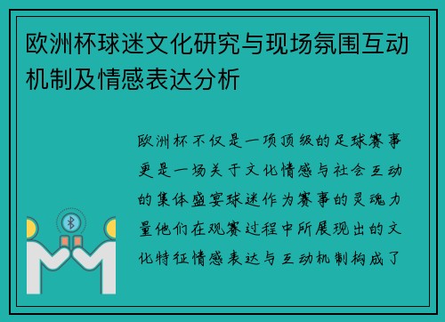 欧洲杯球迷文化研究与现场氛围互动机制及情感表达分析